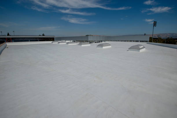 Best Cold Roofs  in Dundee, MI