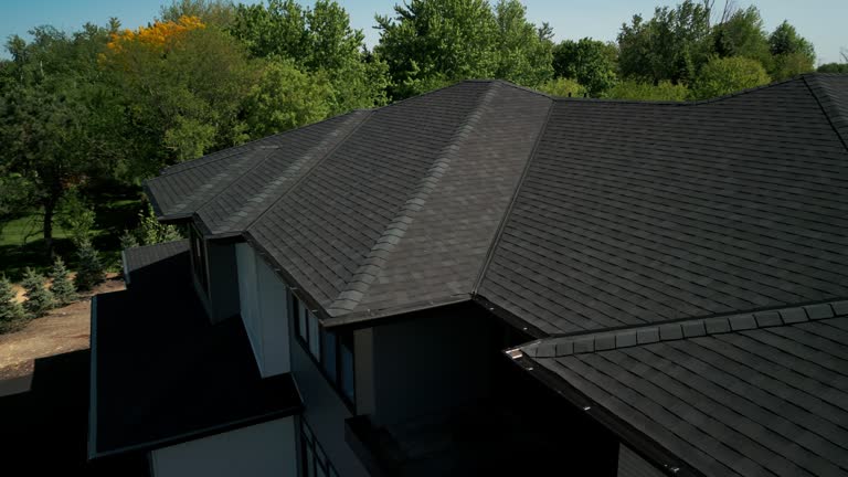 Best Roof Moss and Algae Removal  in Dundee, MI