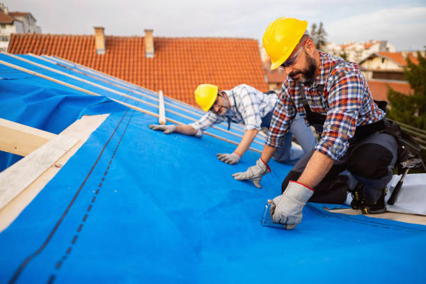 Best Roof Leak Repair  in Dundee, MI