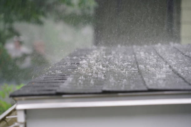 Fast & Reliable Emergency Roof Repairs in Dundee, MI