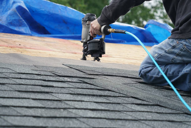 Best Chimney Flashing Repair  in Dundee, MI