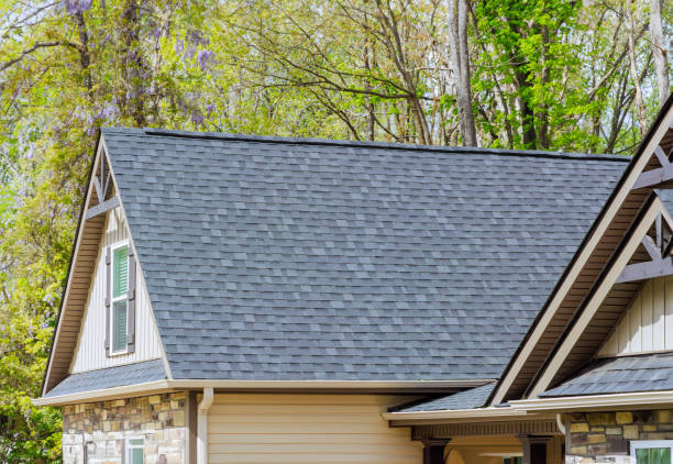 Best Wood Shake Roofing  in Dundee, MI