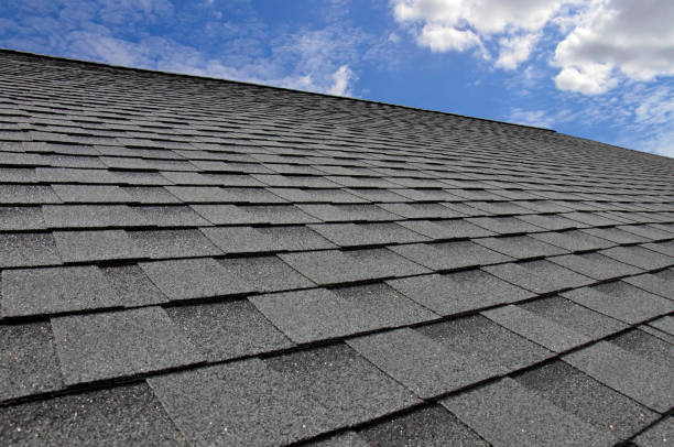 Best Green or Eco-Friendly Roofing Solutions  in Dundee, MI