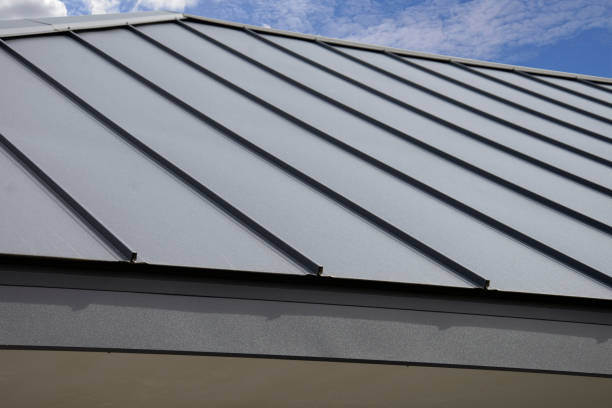 Best Metal Roofing Installation  in Dundee, MI