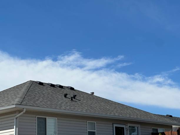 Best 4 Ply Roofing  in Dundee, MI
